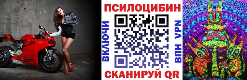 купить наркоту  Алушта  Псилоцибиновые грибы мухоморы 